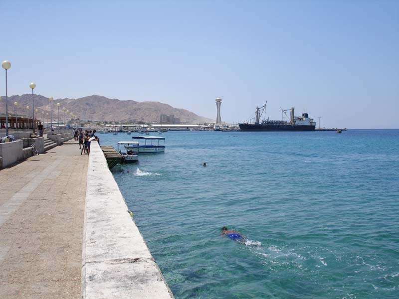 DSC01566