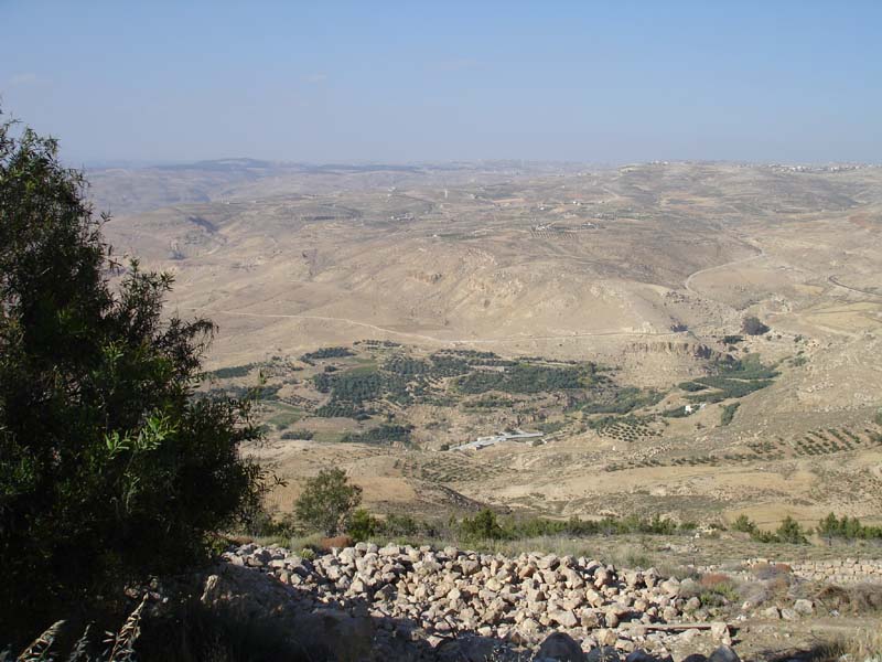 DSC01296