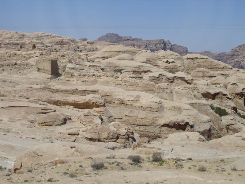 DSC01490