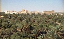 Le temple vu de la palmeraie