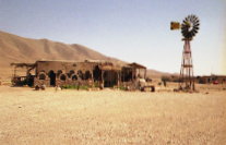 Bagdad café!