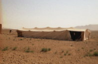 Tente bédouine dans le désert