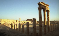 Le forum